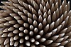 bild 2 - (c) r pattke.jpg